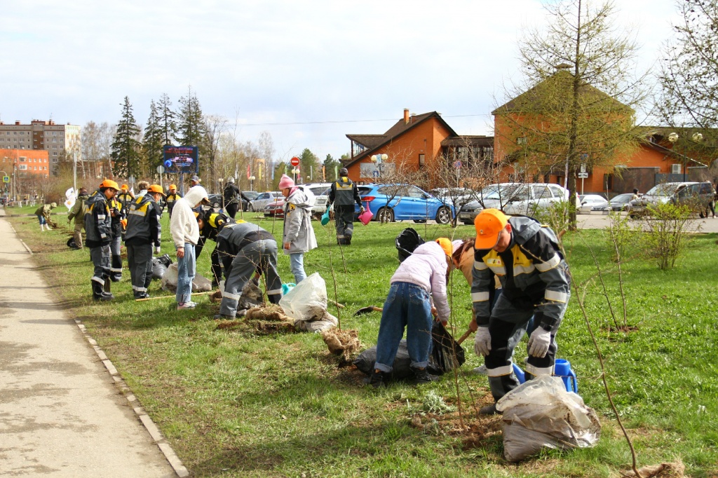 ������� ��������CAMC8130.jpg